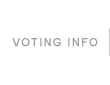 Voting Information 